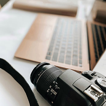 刺猬明星娱乐圈吃瓜